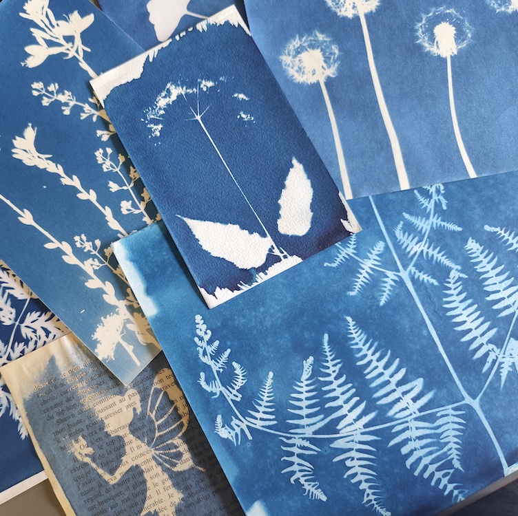 Atelier - Impression végétale